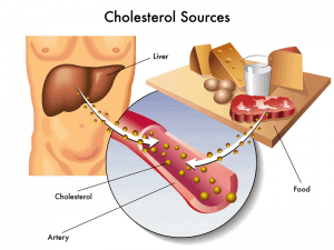 холестерол - същност