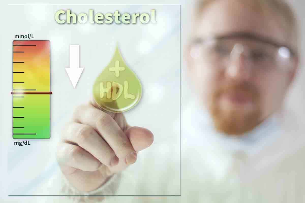 причини за висок холестерол