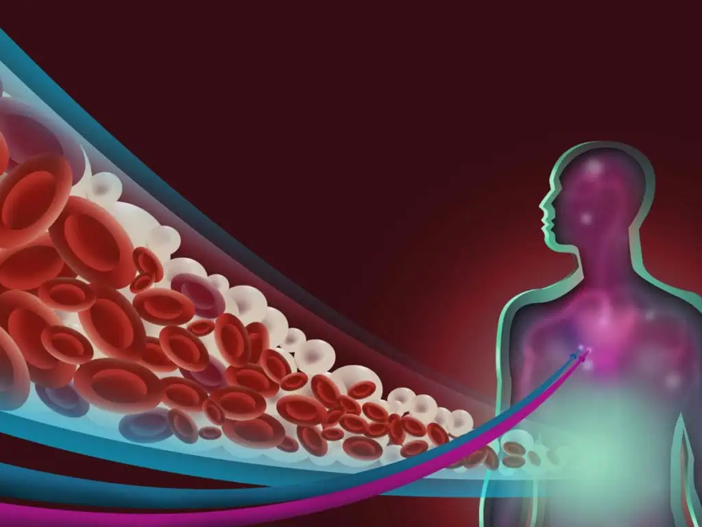 повишени триглицериди