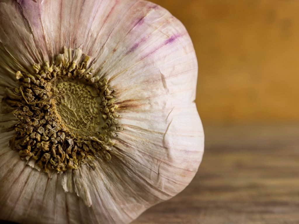 кой билки понижават холестерола