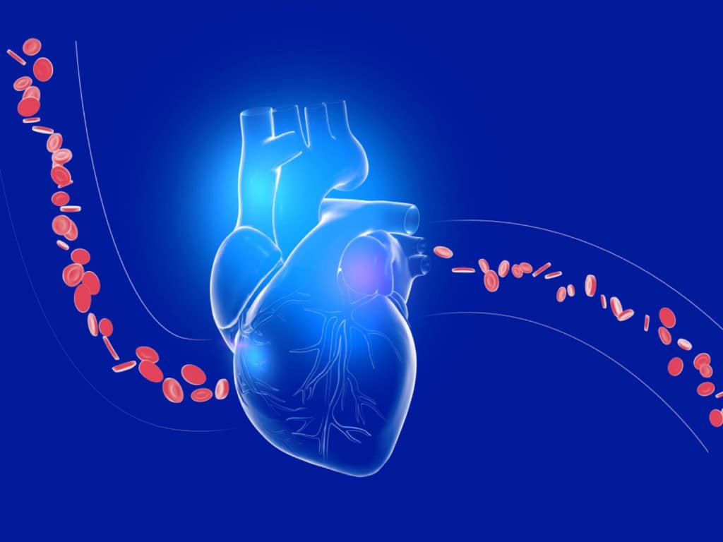 ниски триглицериди