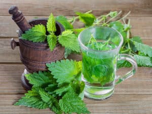 Коприва при висок холестерол